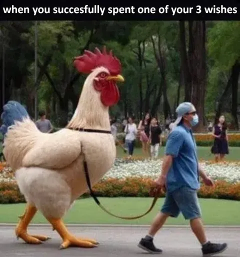 When You Spend a Wish