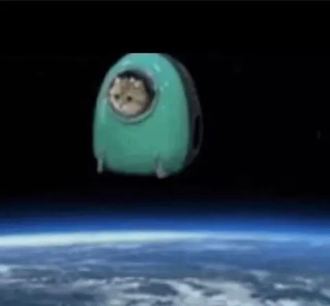 Кот-космонавт в Among Us
