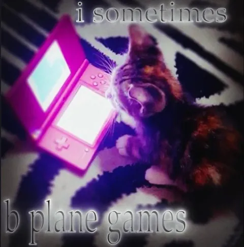 Cat Prefers Plane Games
