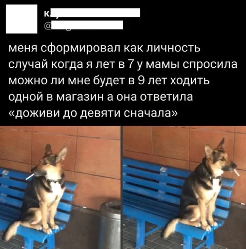 Доживи до девяти сначала
