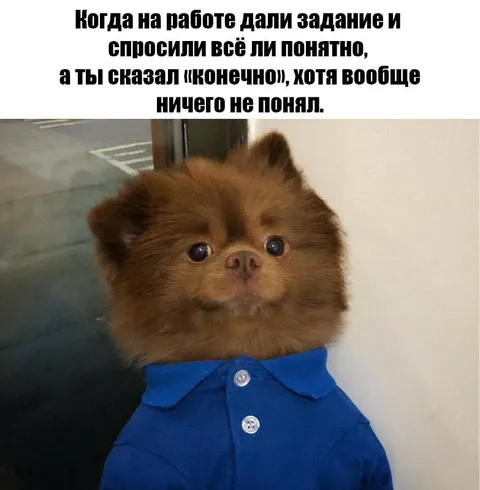 Когда ничего не понял на работе