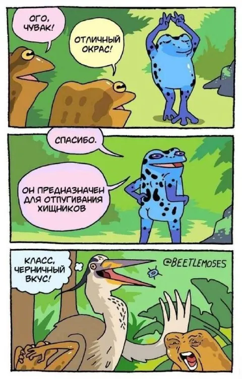 Отличный окрас лягушки