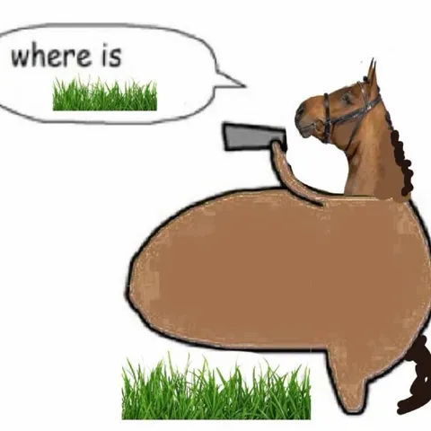 Where Is the Grass