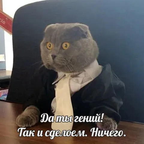 Кот-гений в костюме