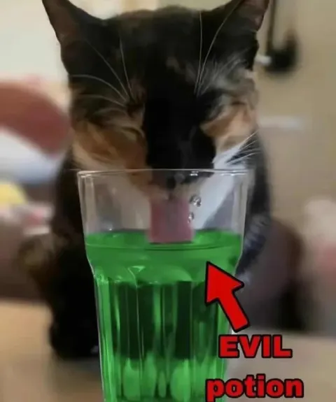 Cat Drinking Evil Potion