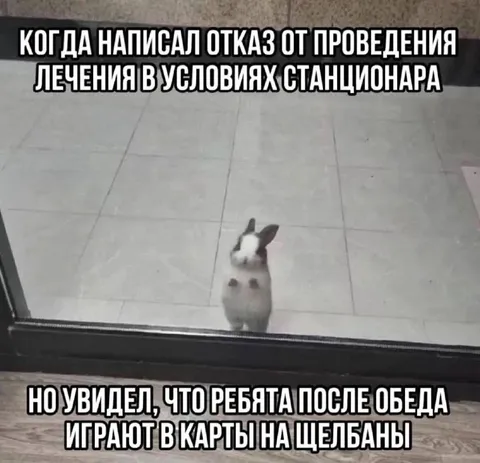Кролик передумал отказываться от лечения