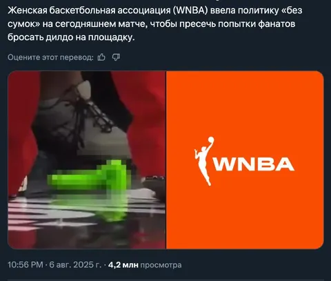 Без сумок на матче WNBA