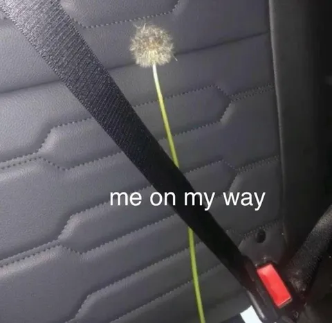 Dandelion on My Way