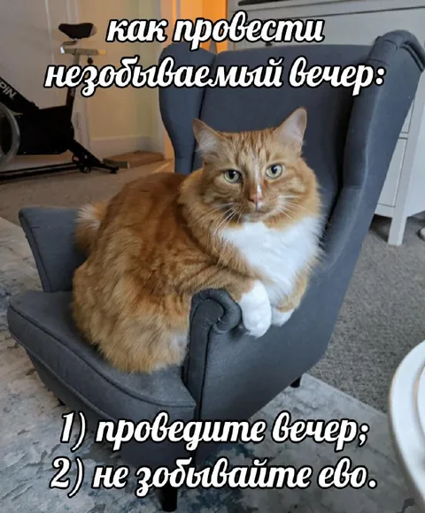 Как провести незабываемый вечер