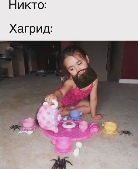 Хагрид на детском чаепитии