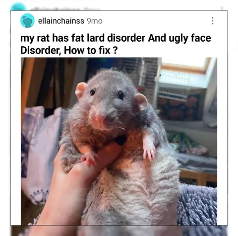 Rat With Ugly Face Disorder