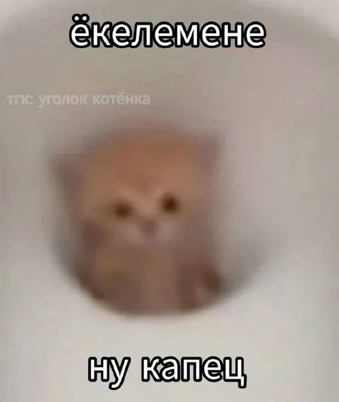 Ёкелемене, ну капец