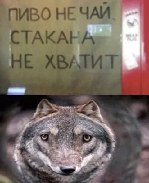 Пиво не чай, стакана не хватит