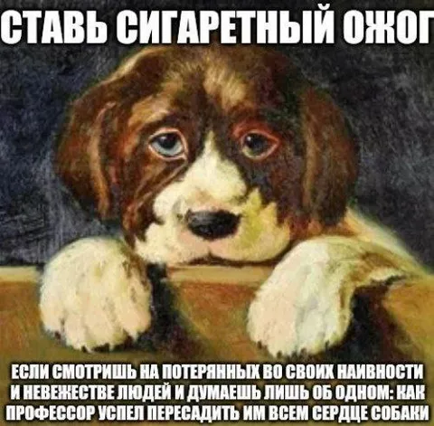 Собака с сердцами людей