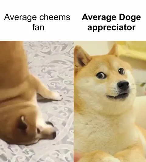 Average Cheems Fan vs Doge Appreciator