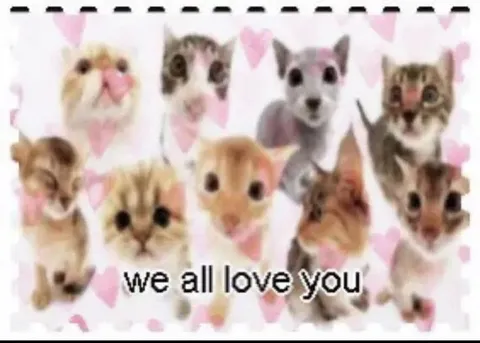 We All Love You Cats