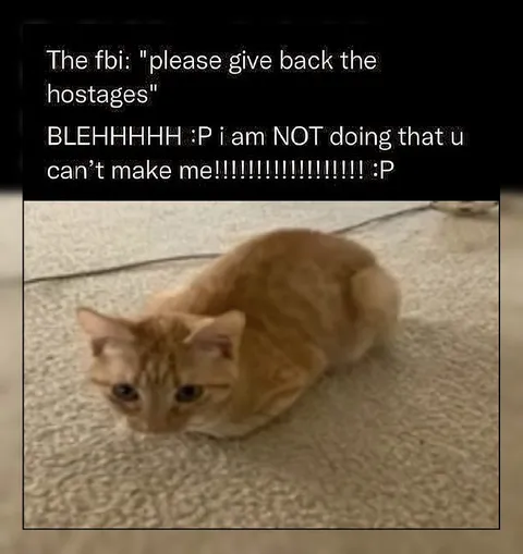 Cat Refuses to Return Hostages