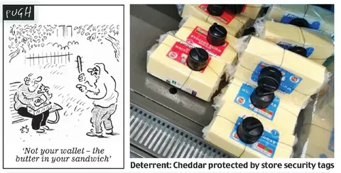 Cheddar Protected by Security Tags