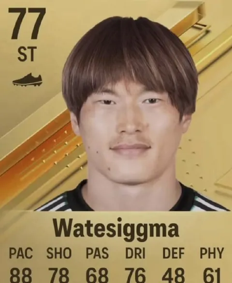 Watesiggma 77 ST Card