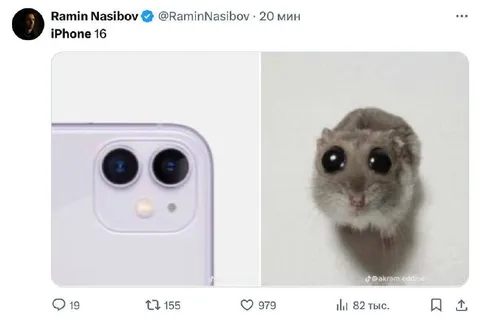 iPhone 16 Cat Camera Joke