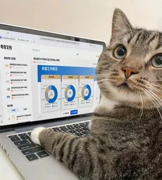 猫咪认真办公