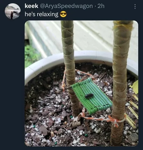 He's Relaxing Like a King