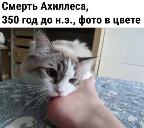 Смерть Ахиллеса, фото в цвете