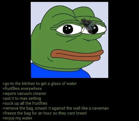 Fruit Fly Vacuum Cleaner Plan