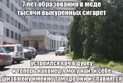 Шизожена из дурки