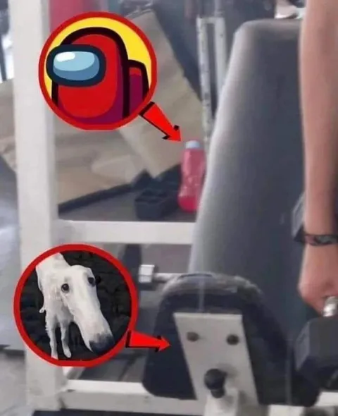 Among Us и собака в автобусе
