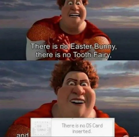 There Is No DS Card