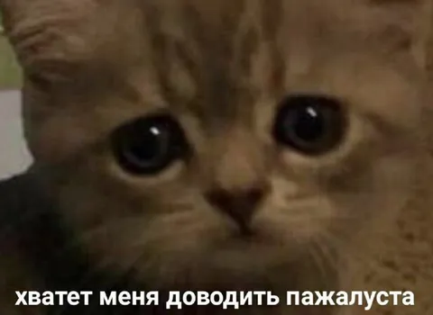 Хватет меня доводить пажалуйста