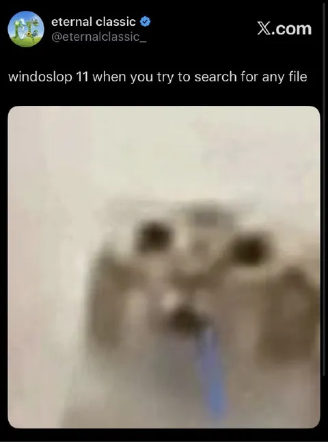 Windows 11 File Search Struggle