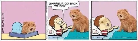 Garfield Refuses to Go Back to Bed