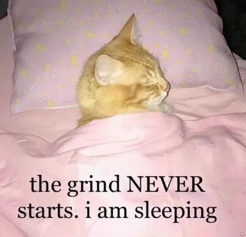 The Grind Never Starts