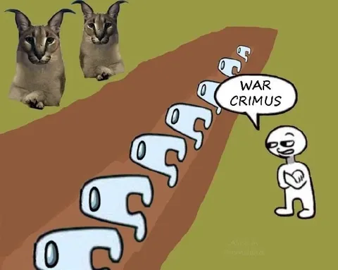 War Crimus Caracal Judgment