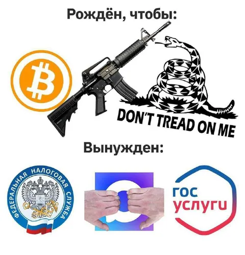 Рождён, чтобы быть свободным