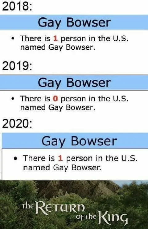 Gay Bowser Returns