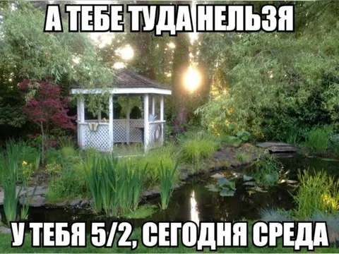 Тебе туда нельзя в среду