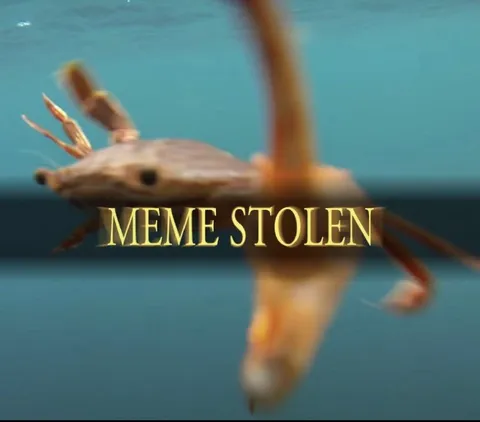 Meme Stolen Underwater Creature