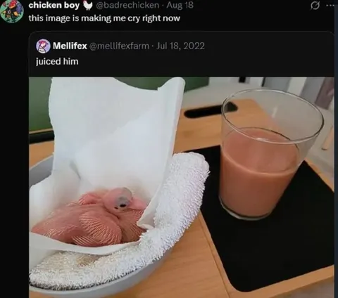 Juiced Him Baby Bird Meme