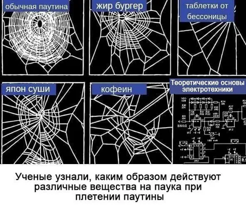 Вещества и паутина