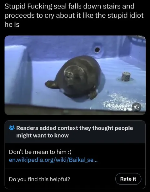 Seal Falls Down Stairs