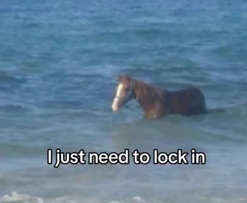 I Just Need to Lock In