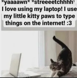 Kitty Paws Typing Online