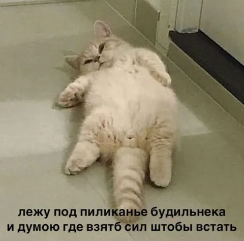 Где взять сил чтобы встать