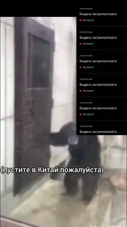 Пустите в Китай, пожалуйста