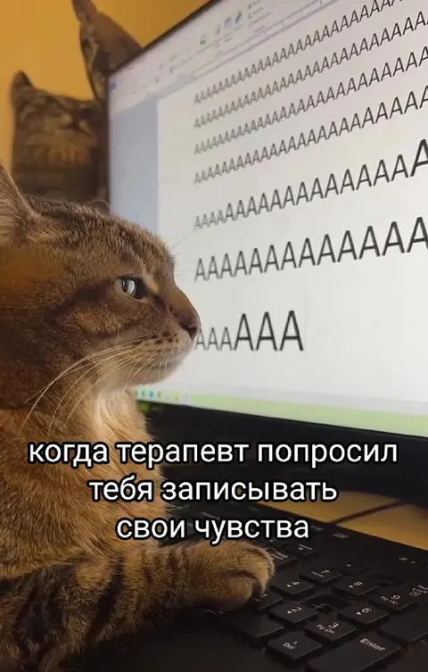 Кот записывает свои чувства