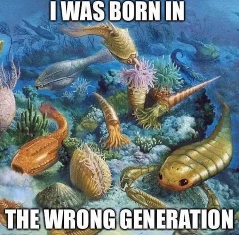 Born in the Wrong Generation