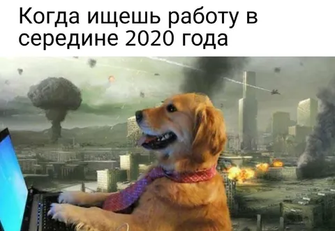 Поиск работы в 2020 году